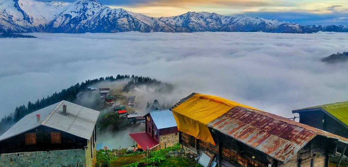 POKUT YAYLASINI HALEN GÖRMEDİNİZ Mİ ?