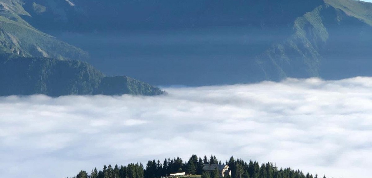 POKUT YAYLASINI HALEN GÖRMEDİNİZ Mİ ?
