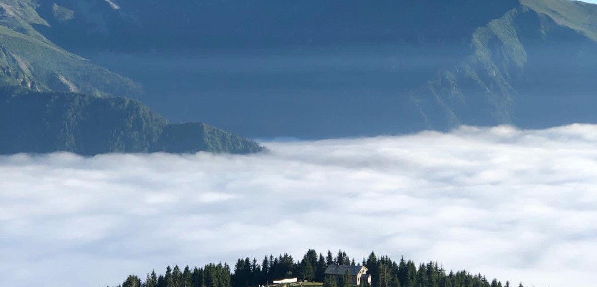 POKUT & SAL YAYLASI TURU