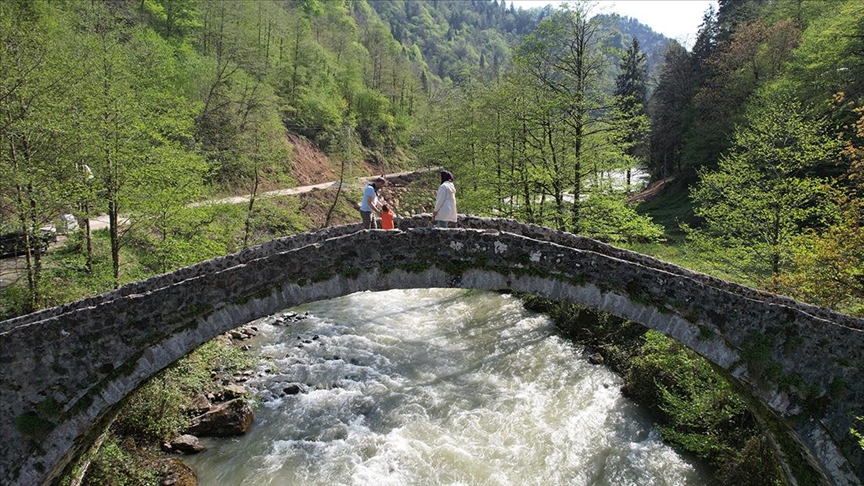  Gito & Elevit Double Tur