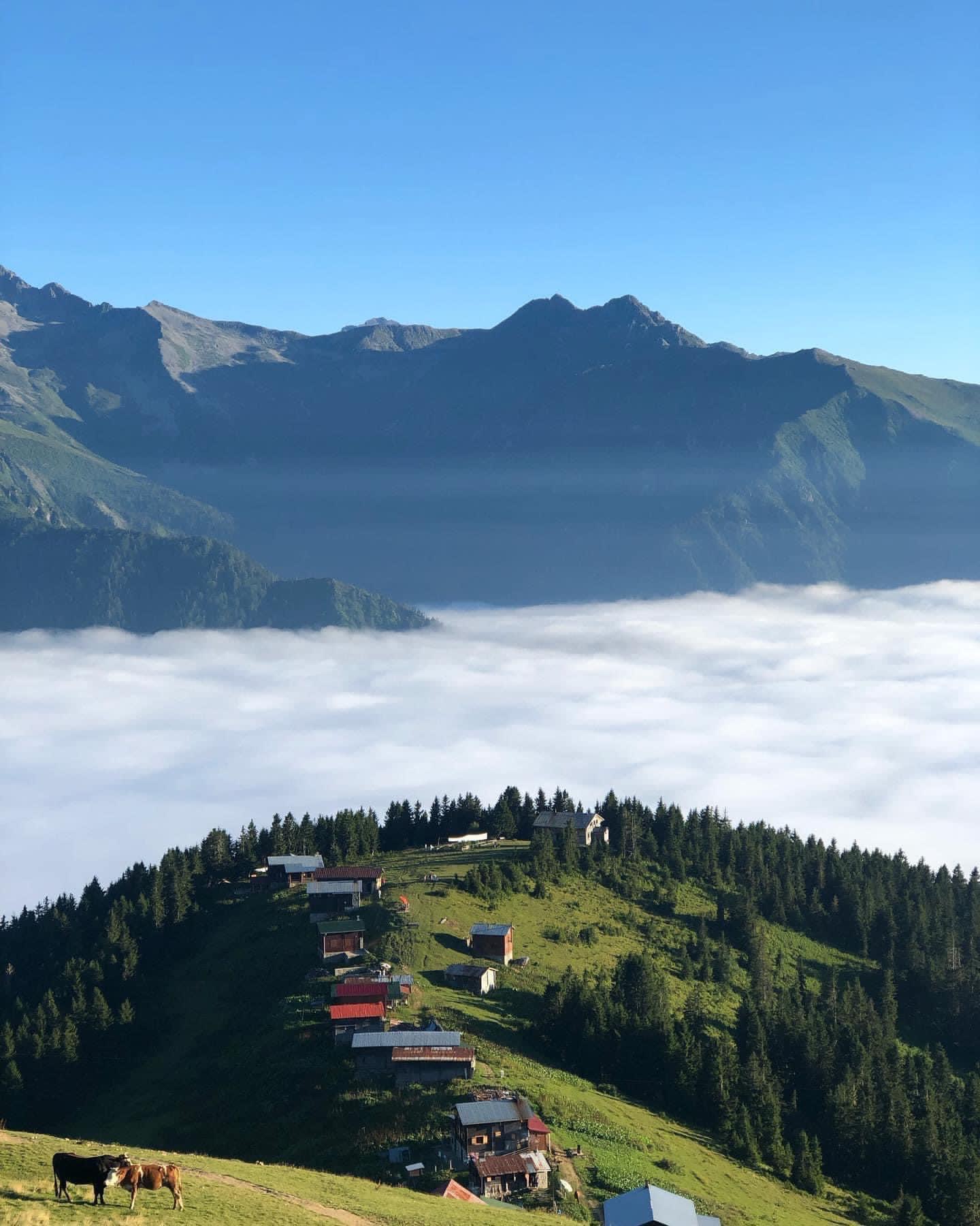 Pokut Huser Double Tur