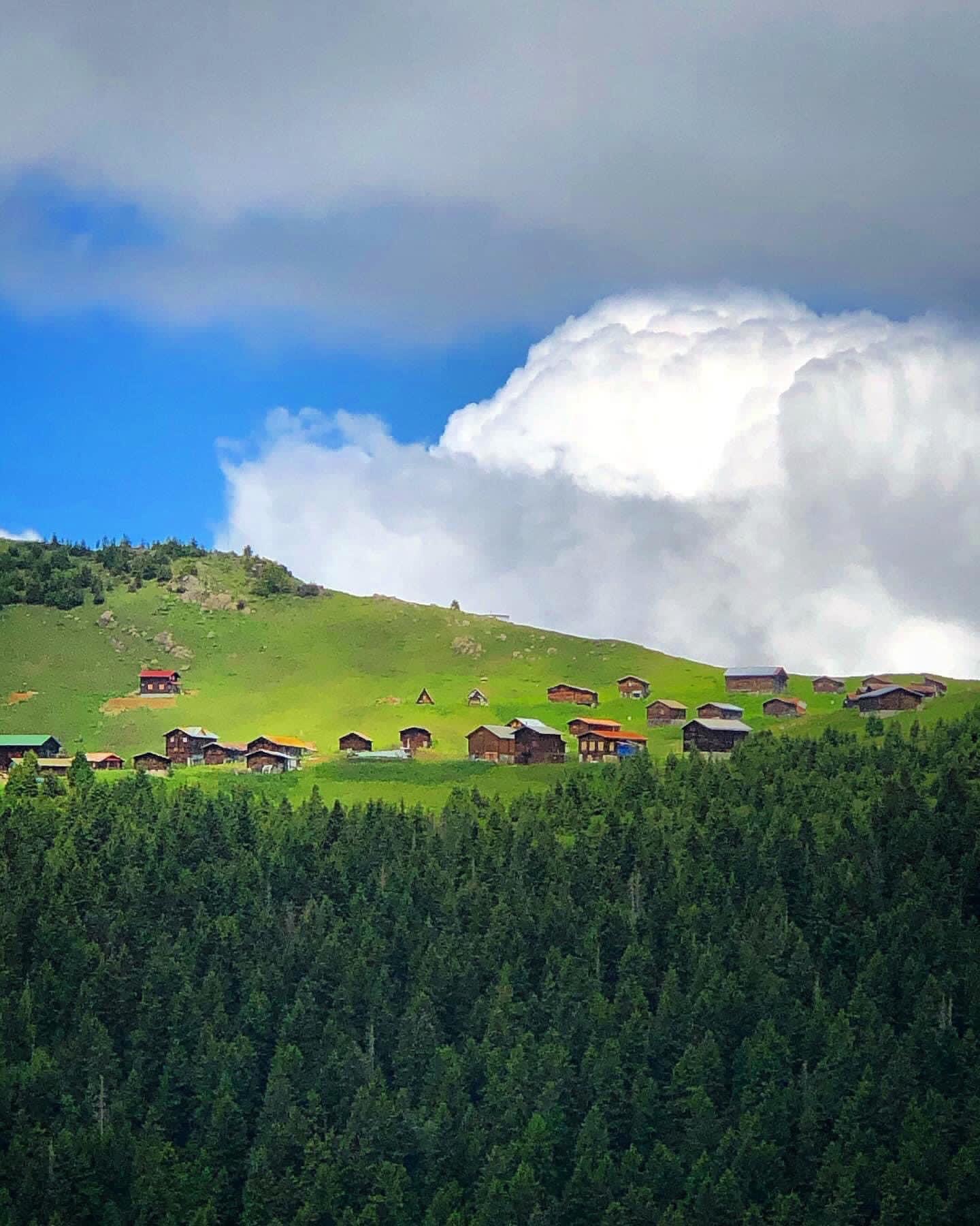 Pokut Huser Double Tur