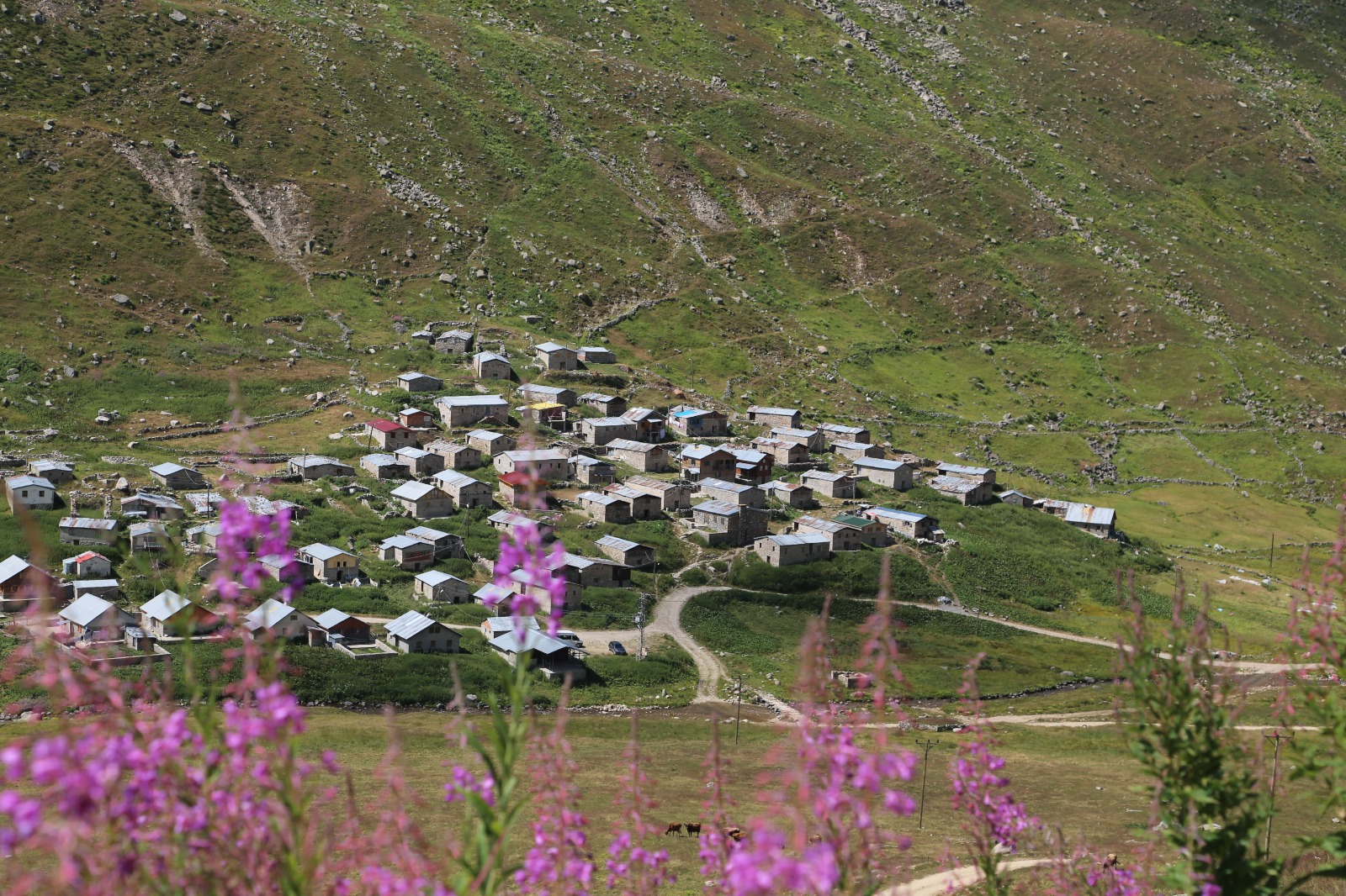 Pokut Huser Double Tur