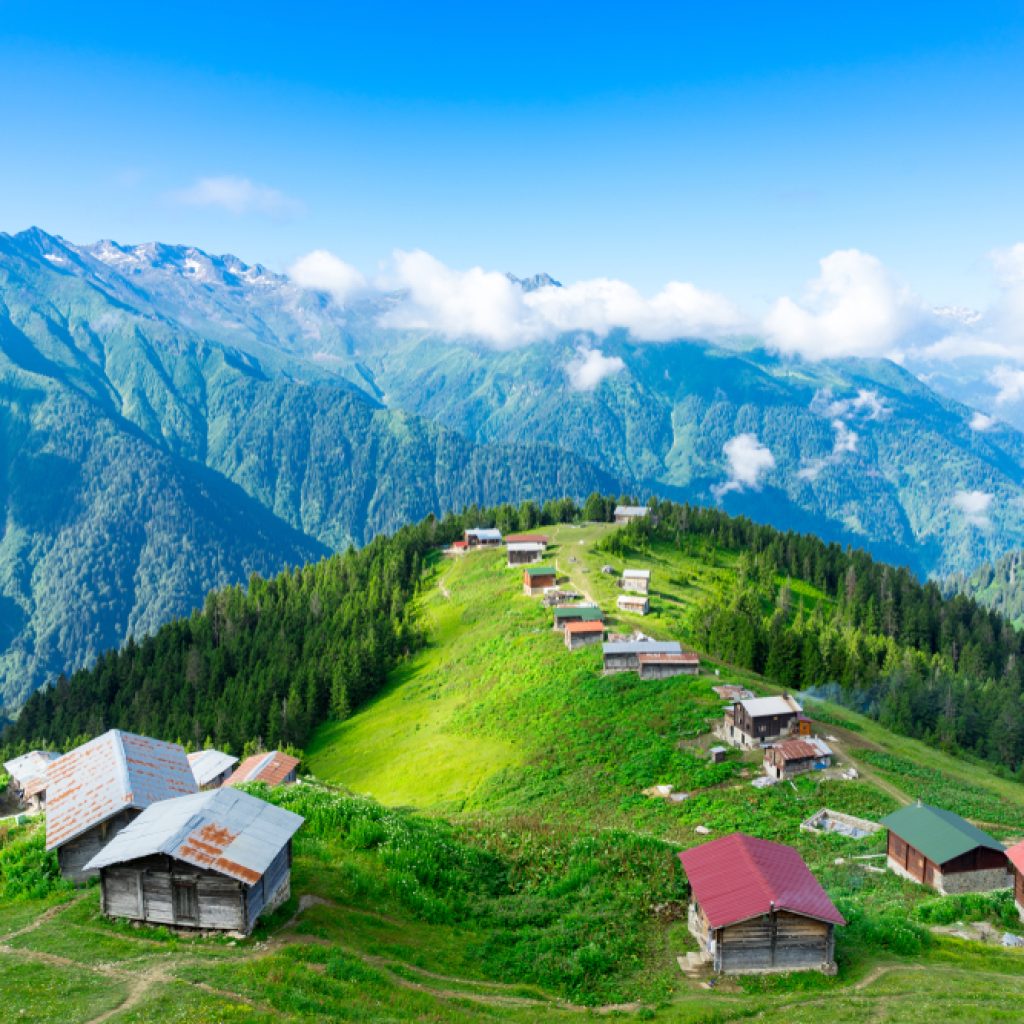 Pokut Huser Double Tur