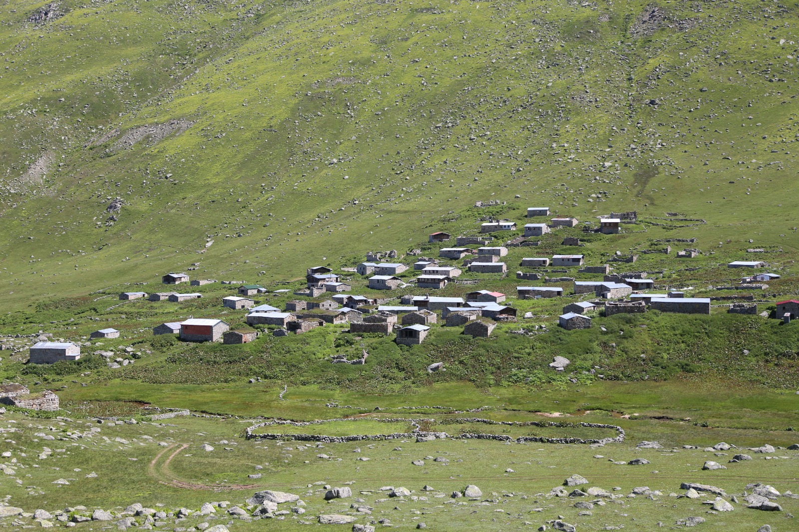 Pokut Huser Double Tur