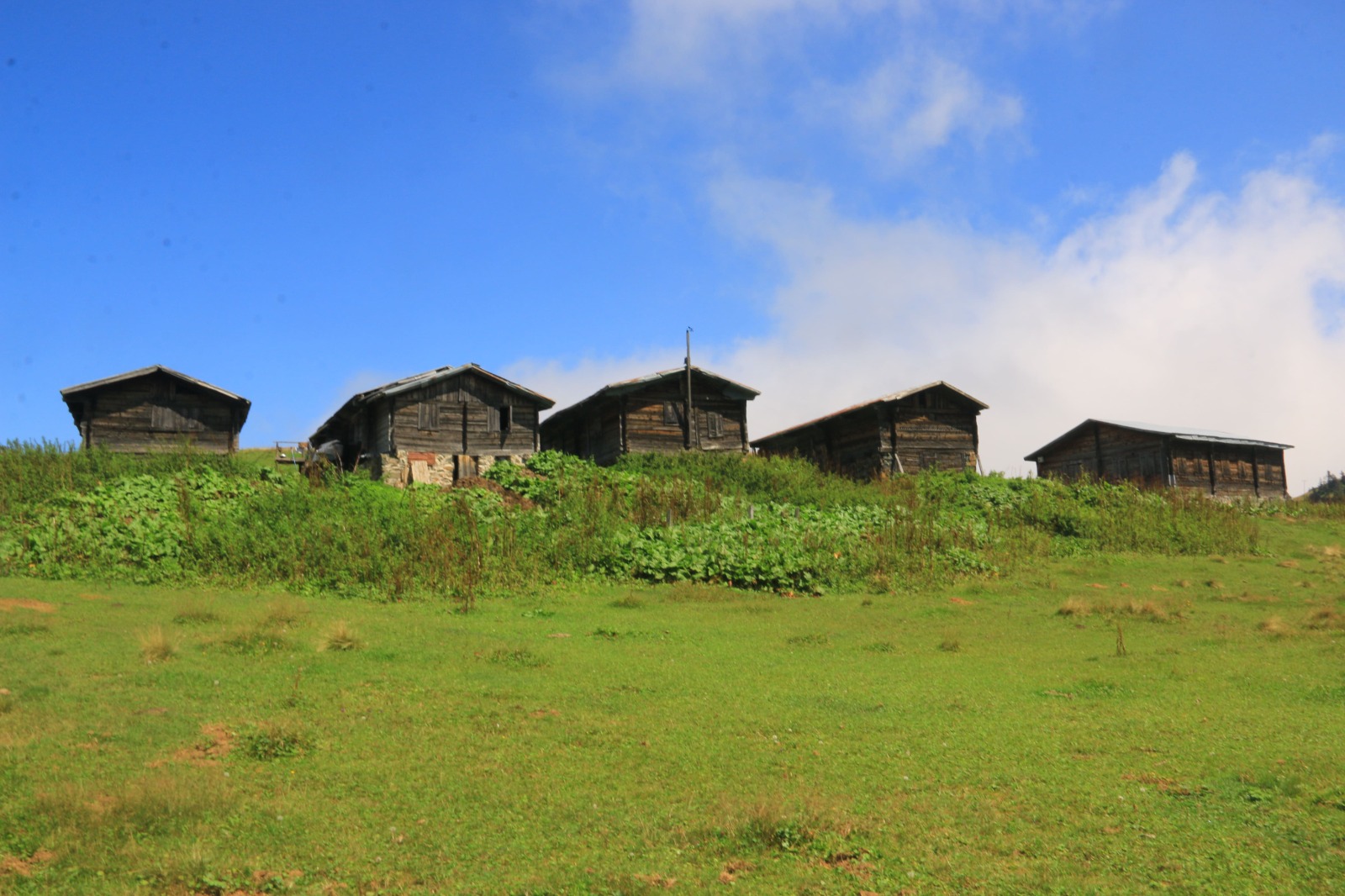 Vadi Turu ( Yayla Sevdası )