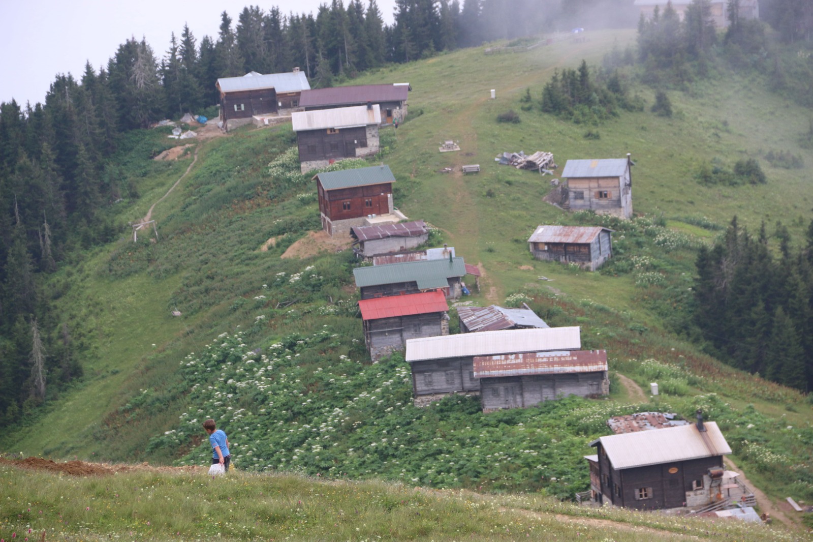 Vadi Turu ( Yayla Sevdası )