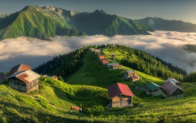 Günübirlik Pokut & Sal Yaylası Turu