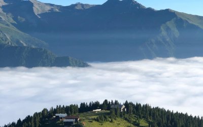 Pokut Huser Double Tur