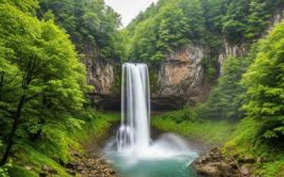 Vadi Turu ( Yayla Sevdası )