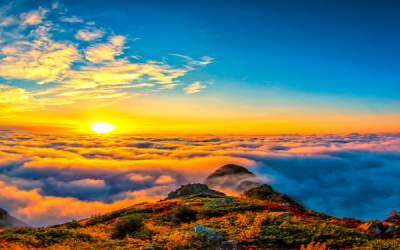 İstanbul Hareketli 5 Gece 6 Gün Konaklamalı Karadeniz Programı