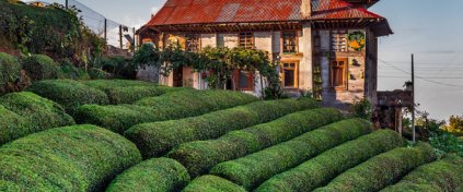 Redya Turizm | Black Sea Highland Tours | Honeymoon Bungalows | VIP Transfer